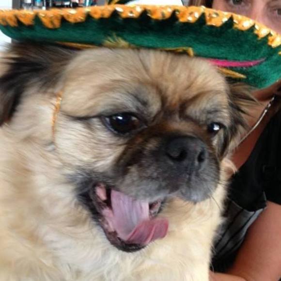 Meet your Posher, Cheryl - Picture 1 of 1